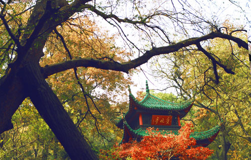 &#19975;&#35937;&#22478;&#20307;&#32946;&#45;&#19975;&#35937;&#22478;&#65288;&#20013;&#22269;&#65289;&#20844;&#21496;